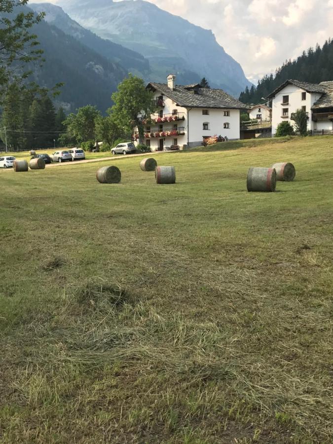 Flora Alpina Apartments-Residenza Verdebjo Gressoney-Saint-Jean Extérieur photo