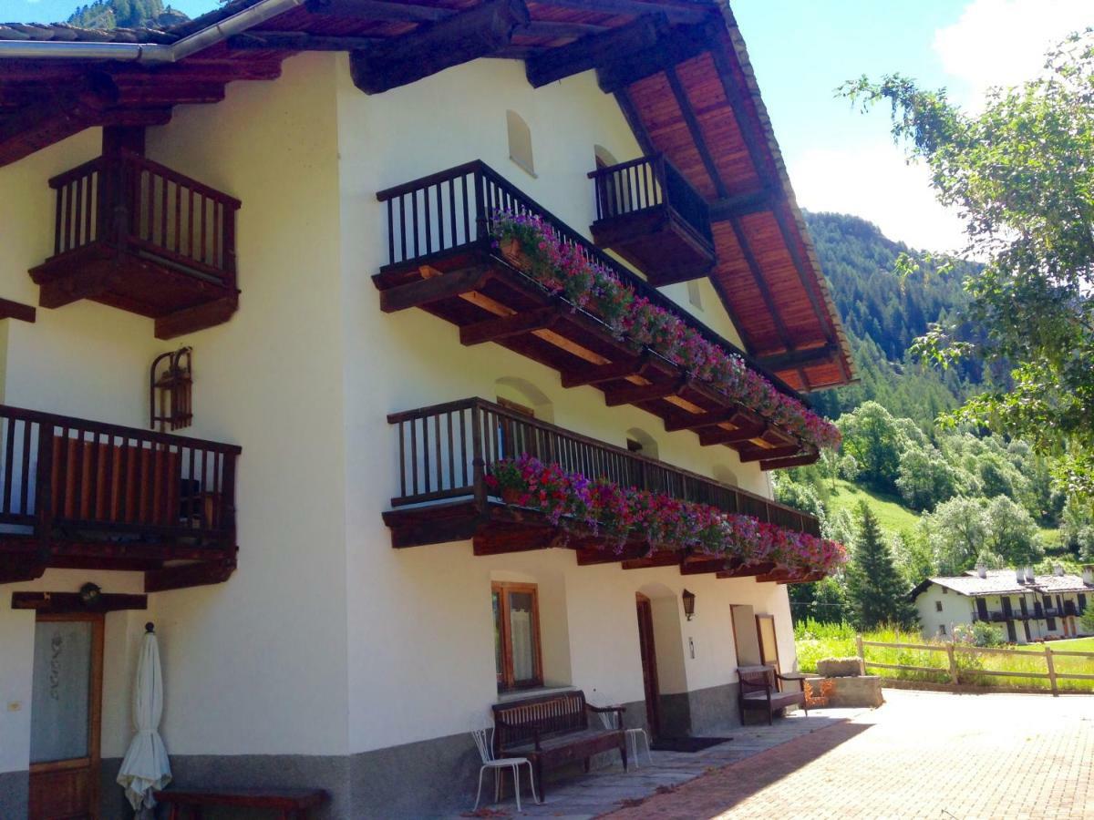 Flora Alpina Apartments-Residenza Verdebjo Gressoney-Saint-Jean Extérieur photo