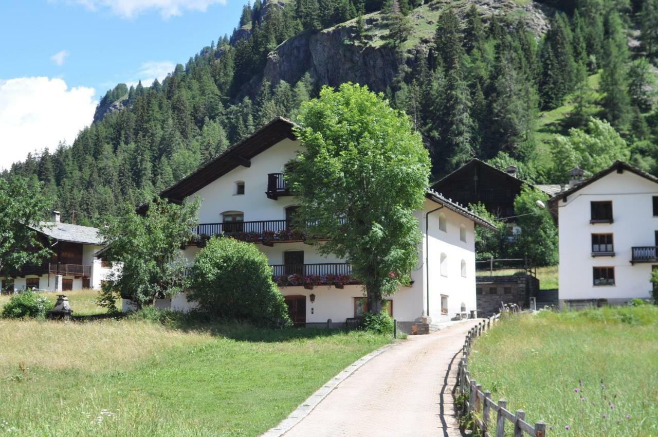 Flora Alpina Apartments-Residenza Verdebjo Gressoney-Saint-Jean Extérieur photo