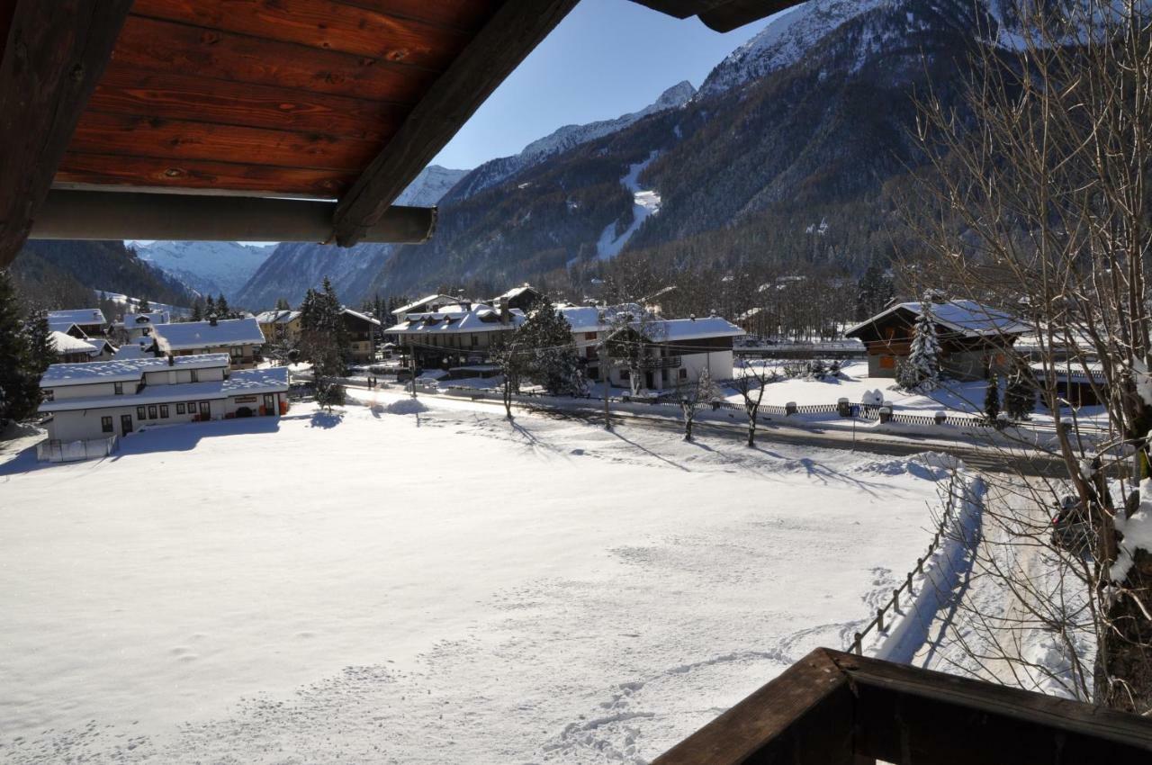Flora Alpina Apartments-Residenza Verdebjo Gressoney-Saint-Jean Extérieur photo