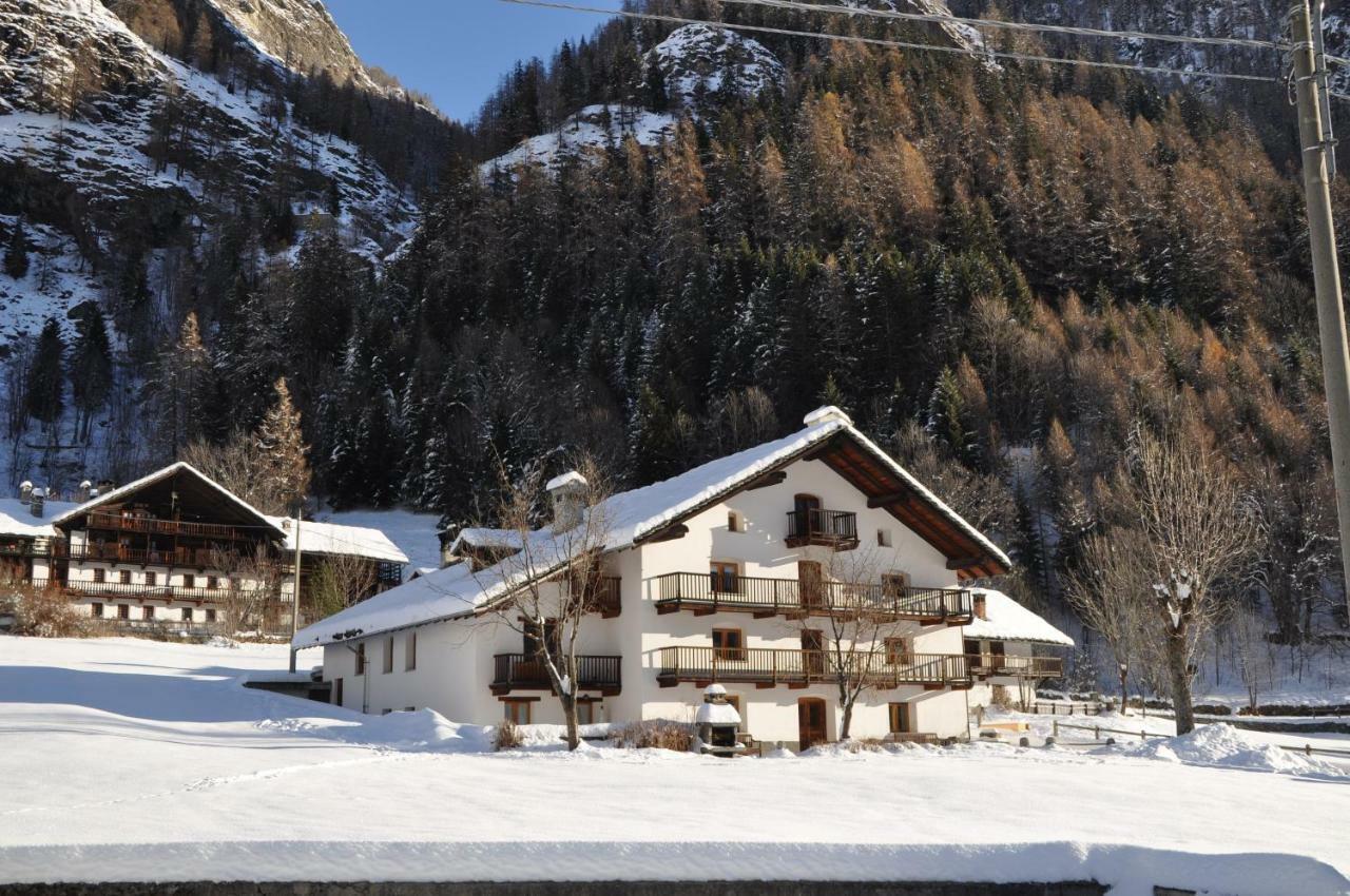Flora Alpina Apartments-Residenza Verdebjo Gressoney-Saint-Jean Extérieur photo
