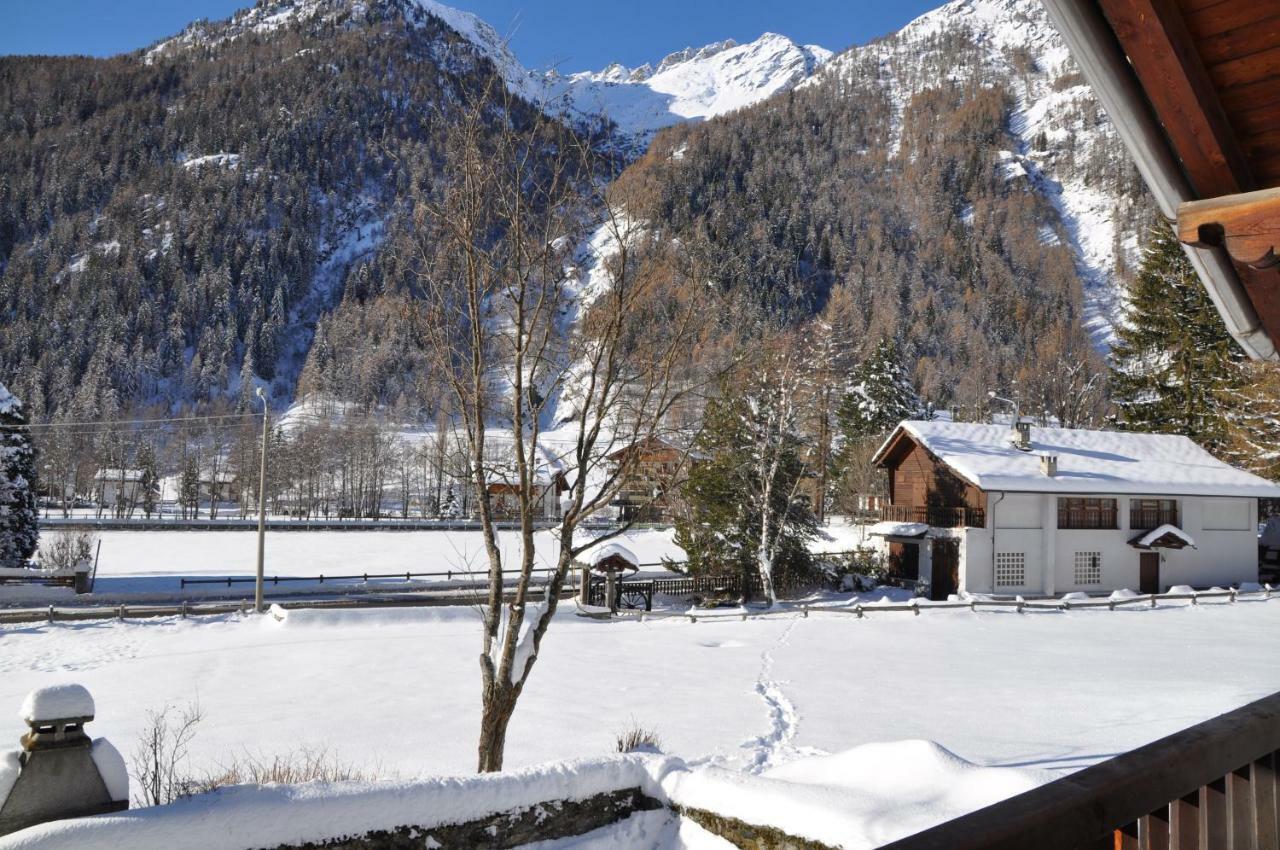 Flora Alpina Apartments-Residenza Verdebjo Gressoney-Saint-Jean Extérieur photo